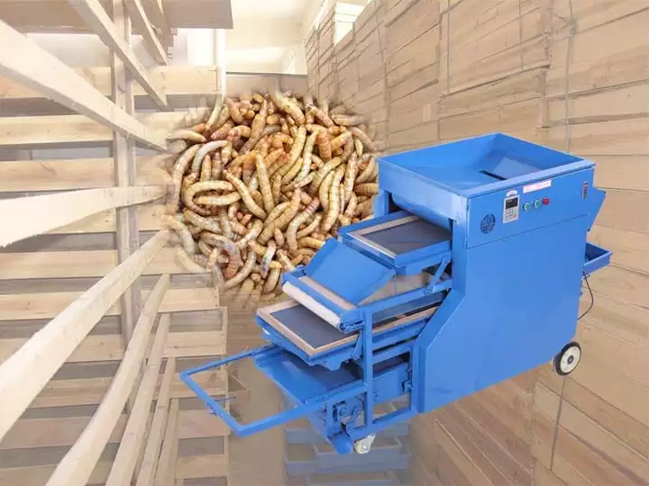 Mealworm Separating Machine Manufacturer