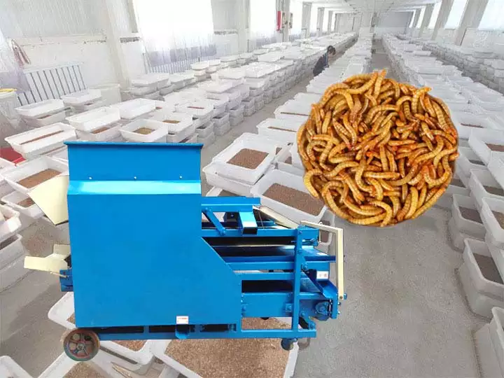Multifunctional Mealworm Separator Machine