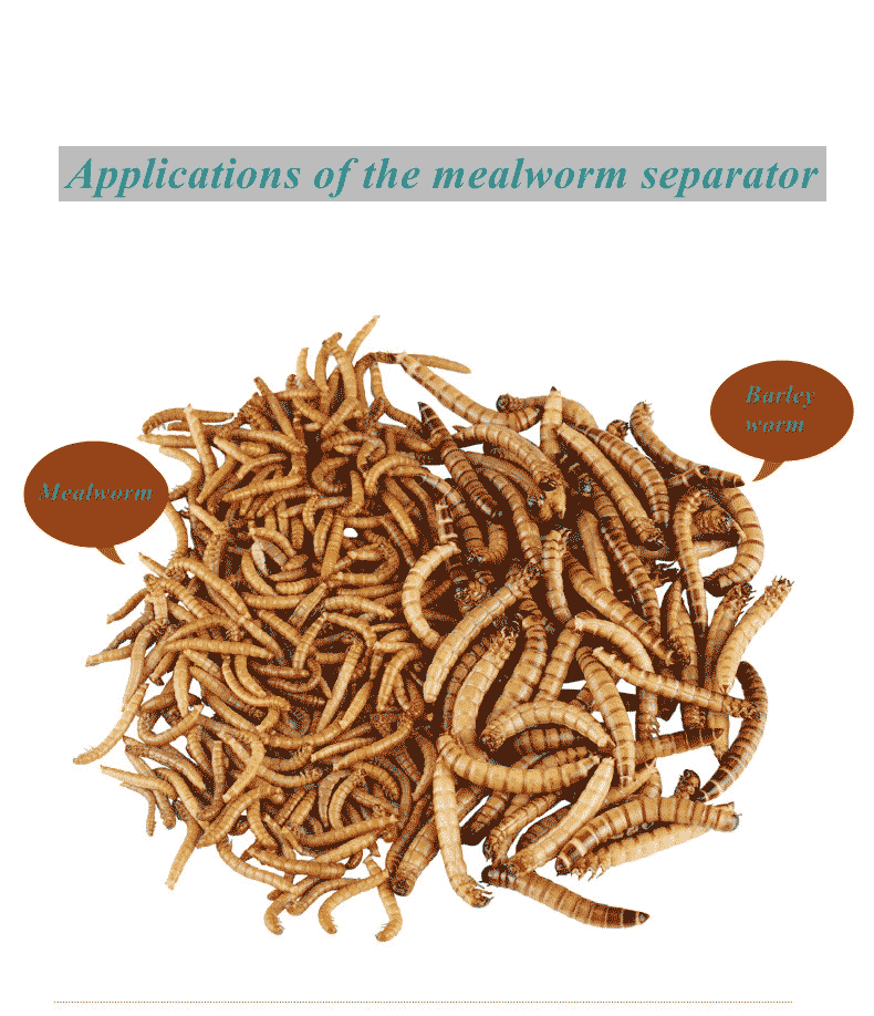 Эффект сортировки мучных червей сепаратора мучных червей