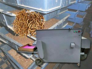 máquina de classificação de larvas de farinha (verme de cevada)