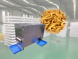 Nueva máquina tamizadora de gusanos de harina a la venta