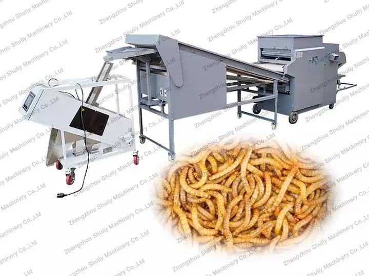 best mealworm farming solutions